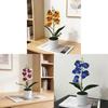No Ip Artificial Orchid Plant With Plastic And Soft Gel For Home Decor And Photography Props
