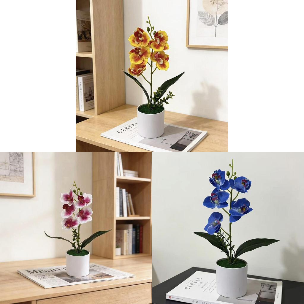 No Ip Artificial Orchid Plant With Plastic And Soft Gel For Home Decor And Photography Props