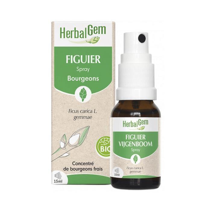 Herbalgem Figuier spray Bio 15ml