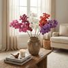 Plastic Phalaenopsis Branch Moisturizing Real Touch Orchids Simulation Flower  Office Decor