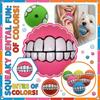 Zahnball Hund Quietschspielzeug - Ein Kauspielzeug, Ein Interaktives Quietschspielzeug Geeignet Für Hunde, Die Gerne Kauen, Und Spaß.