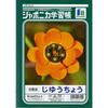 Showa Notebook Japonica Notebook, White, B5, 5-Pack, JL-725
