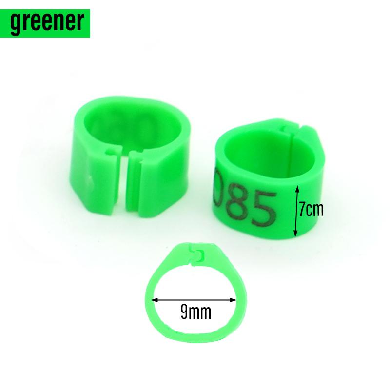 100 Piezas Nuevos Anillos para Patas de Paloma Identificar Bandas para Palomas 8 mm Clip de Plástico para Loro Anillo Digital para Pie Suministro para Entrenamiento de Palomas Aparatos para Pájaros