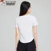 Woodpecker Women's Summer Slim Fit Round Neck T-Shirt