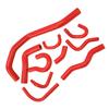 Silicone Radiator Hose Kit Radiator Tubing Water Coolant Heater Hose Tube Set For CR‑X 1988 to 1991 Red