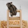 Wooden Climbing Ladder Hamster Guinea Pig Mouse Playing Toy Pet Cage Ornament