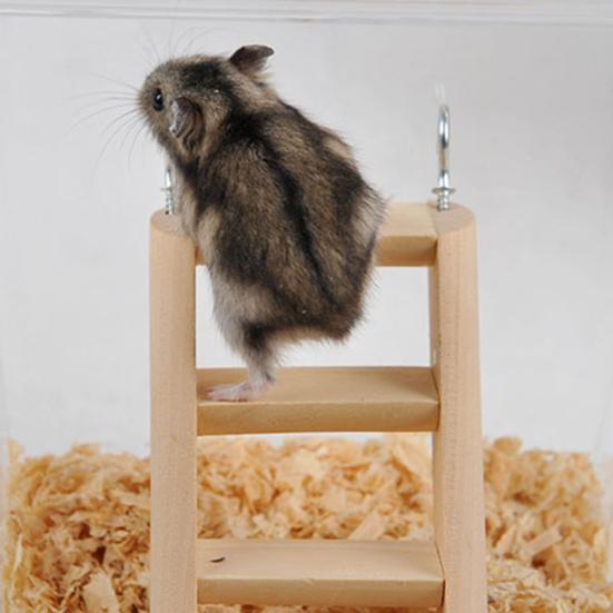 Wooden Climbing Ladder Hamster Guinea Pig Mouse Playing Toy Pet Cage Ornament