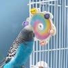 Bite Resistant Rotating Balls Toy Sounding Parrot Gnawing Toys Bird Windmill Stand  Bite Exercise