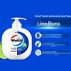 Walch Antibacterial Hand Soap