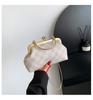 Women's 2025 Korean Style Casual Fashion Crossbody Shell Handbag with Chain Strap