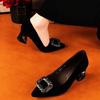 High Heels Women's Spring and Autumn Thin Heels Rhinestone Suede Not Tired Feet Temperament Pointed Square Buckle Single Shoe Temperament New