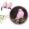 12PCS Multicolor Artificial Birds Gold Powder Foam Simulation Bird Model Handicraft DIY Accessories Faux Bird Home Decoration