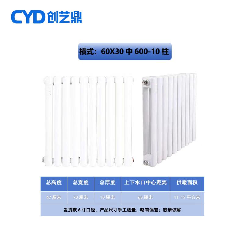Chuang Yi Ding Steel 6030 Two-Column Hot Water Radiator