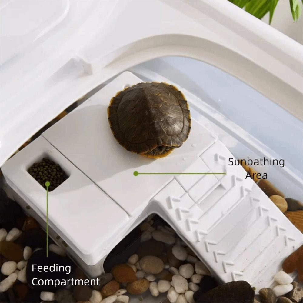 With Drain Valve Turtle Tank Large Space Ecological Fish Tank  for Turtles Snake Lizard