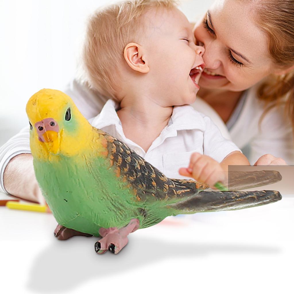 Bird Static Macaws Parrot Model Figurines For Collection Educational&Decoration