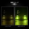 Catland LED Fog Lamp, H8, H11, H16, 2 Color Switching, White, Lemon Yellow, LED