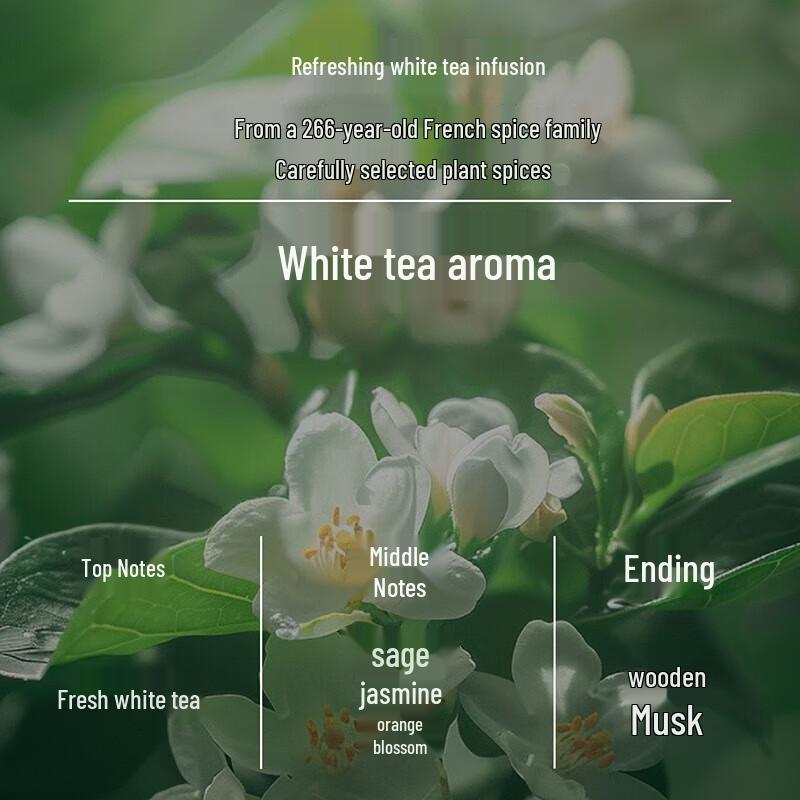 AOG Naturals Men's Refreshing & Oil Control Shower Gel