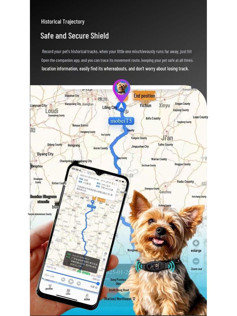 Pet Smart Tracker: Waterproof Beidou GPS Collar for Real-time Tracking and Anti-lost Protection for Cats and Dogs