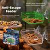 Plastic Reptile Food Dish Reptile Food Water Feeding  For Chameleon Iguana Lizard Snakes