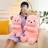 Cute Pink Teddy Bear Plush Toy For Birthday And Holiday Gifts Wholesale From Manufacturer