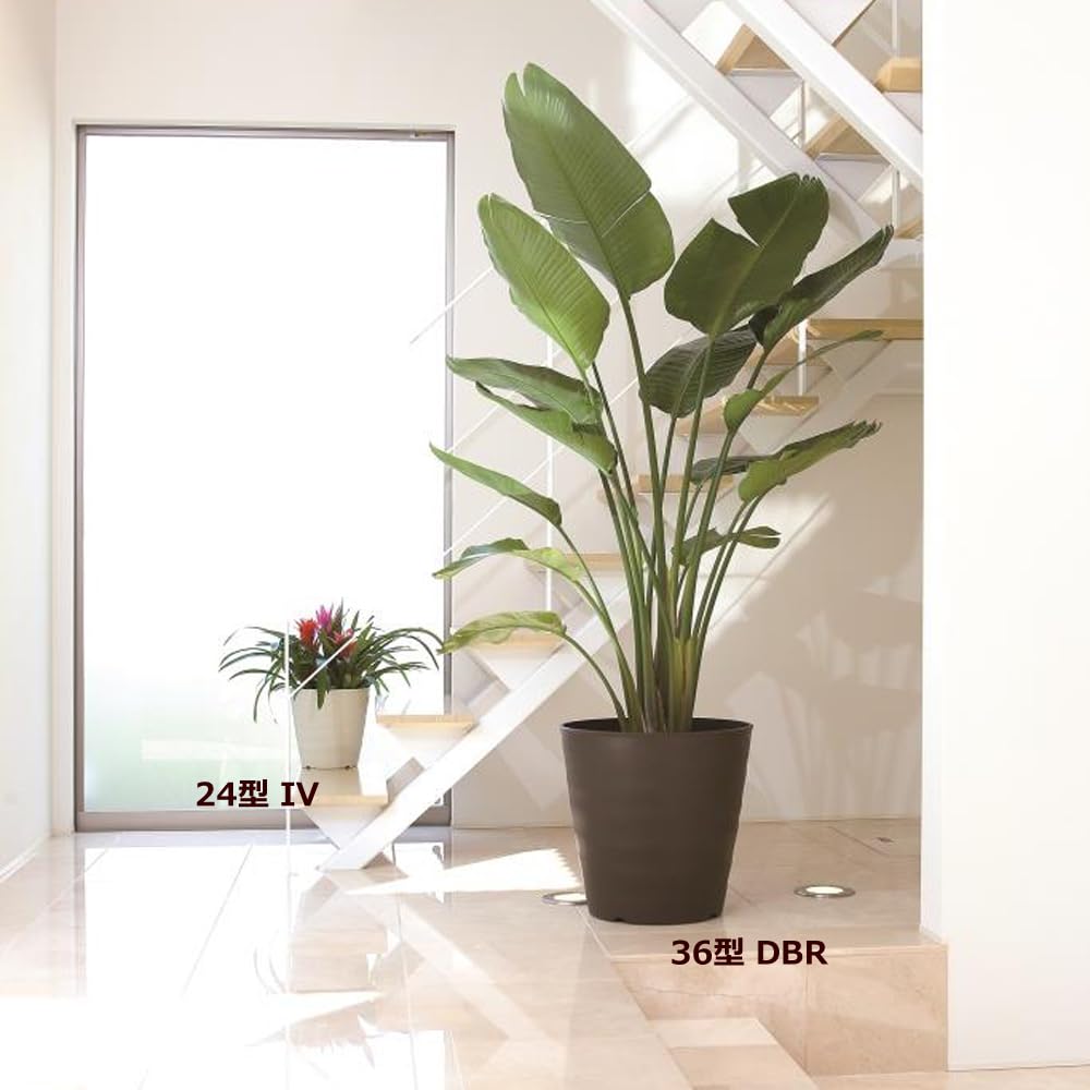 Yamato Plastics Flegler 27mm Diameter X 270mm 10L Soil Ivory Pot, Height, Capacity,