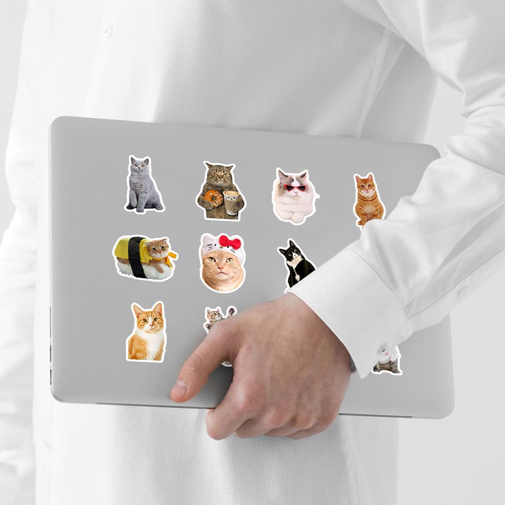 50 Cartoon Cute Kitten Emoticon Pack Graffiti Stickers Mobile Phone Case Hand Account Computer Suitcase Stickers