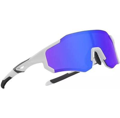Rockbros 10183 Polarized Blue Cycling Glasses