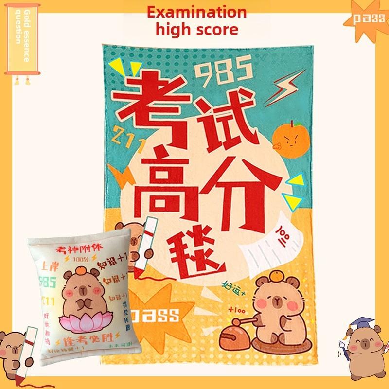 Short Plush Cushion Blanket For Students Graduation Gift