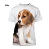 Sommer Neue Mode Herren 3D-Druck T-Shirts Tier Hund Beagle Lässiges Kurzarm Street T-Shirt Top Qualität Tees