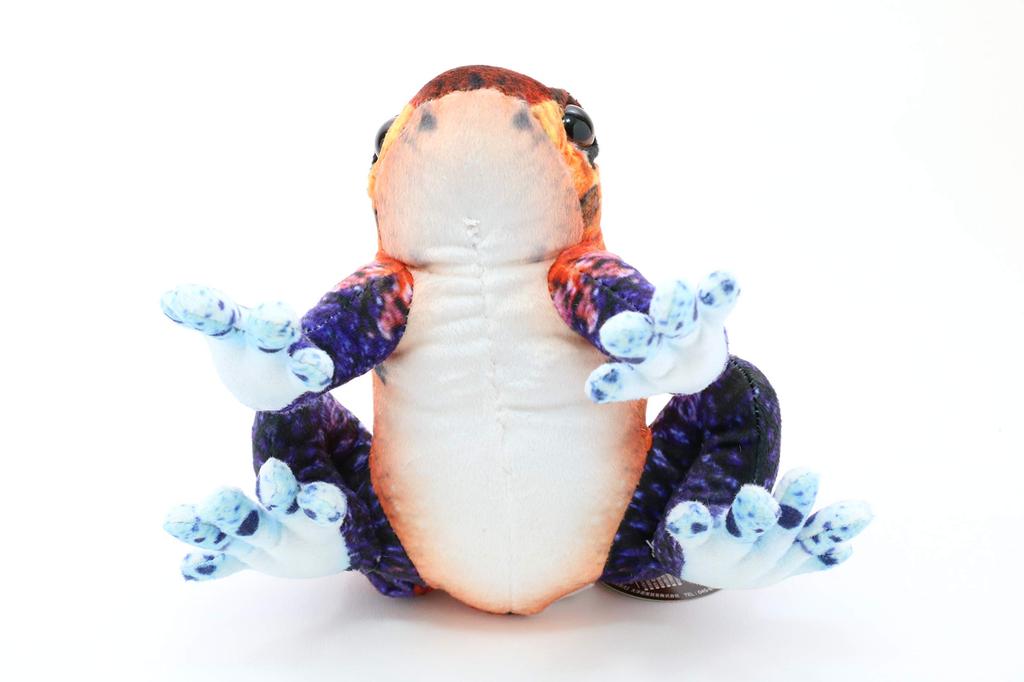 Taiyo Sangyo Boeki Wild Graphy Plush Strawberry Poison Dart Frog (S) SA018