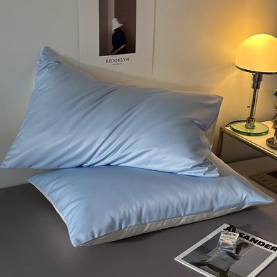 Yaz Düz Renk Buz İpek Yastık Kılıfı Ev Tipi Tek Yastık Kılıfı Çifti 48x74cm Yastık İç Kılıfı