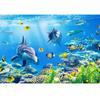 Underwater World Dolphin Coral Seaweed Seabed Aquarium Theme Photography Background Children Birthday Party Decor Backdrop2