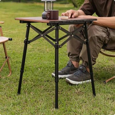 Folding Camping Table Foldable Portable Lightweight Furniture for Campers,