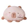 Explosion-Proof Rechargeable Plush Hot Water Bottle: Cute, Warm Hand & Belly Warmer for Girls’ Dormitory