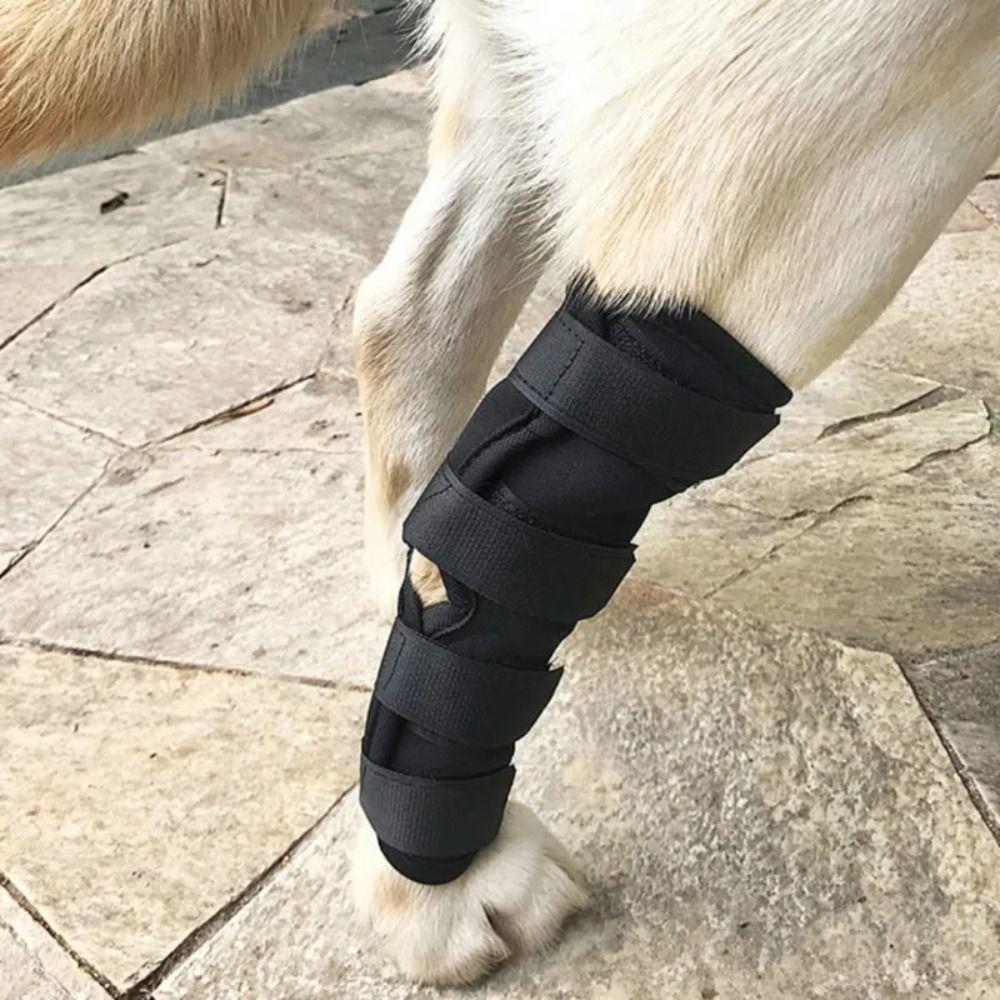 Anti-Lick Dog Bandages Leg Support Knee Brace Strap Breathable Pet Knee Pads  Dog Accessories