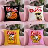 K-Kwaii Anime B-Buldak R-Ramesn Pillow Case Safe Custom Photo Pillow, Anti-Fade Brushed Fleece Cushion, Maternal & Infant Safe.