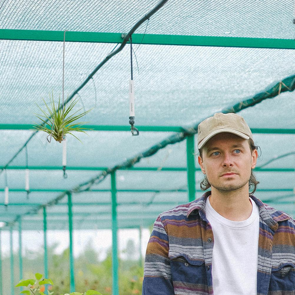 6 Pcs Air Pineapple Hook Display Hanger for Tillandsia Plant Holder Ceiling Hanging Plants Coat Hangers Stand Planter