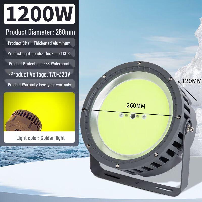 Huishijia Outdoor Waterproof Blue LED Night Fishing Lure Light