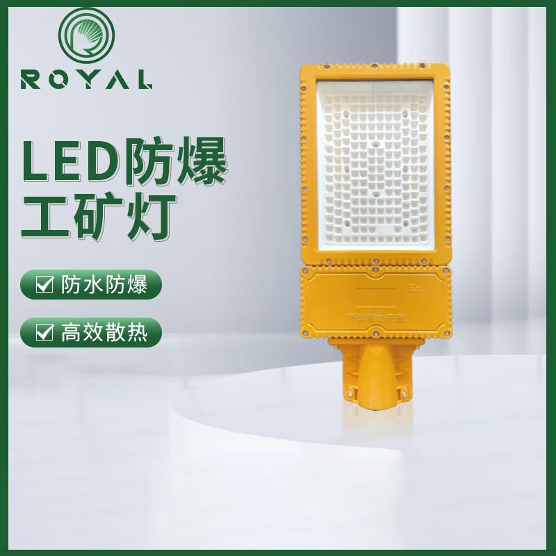 Rongya Lighting LED Outdoor Waterproof Street Light