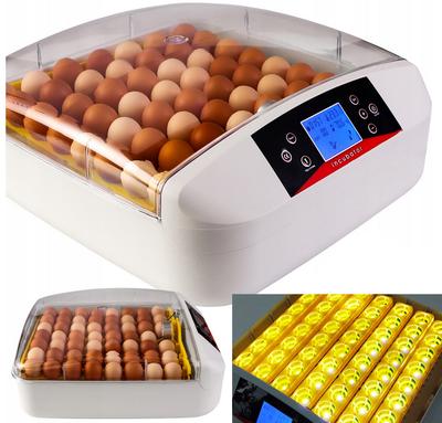 Incubator Hatcher Hatcher For Eggs, Poultry, Bird, 56 Pcs, Led Thermostat
