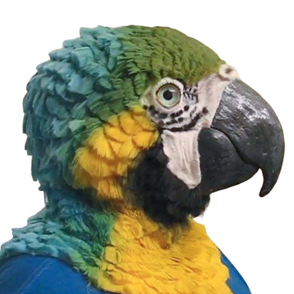 Venetian Party Eagle Mask Simulation Animal Wolf Mask Halloween Hood Mask  Party Makeup Ball