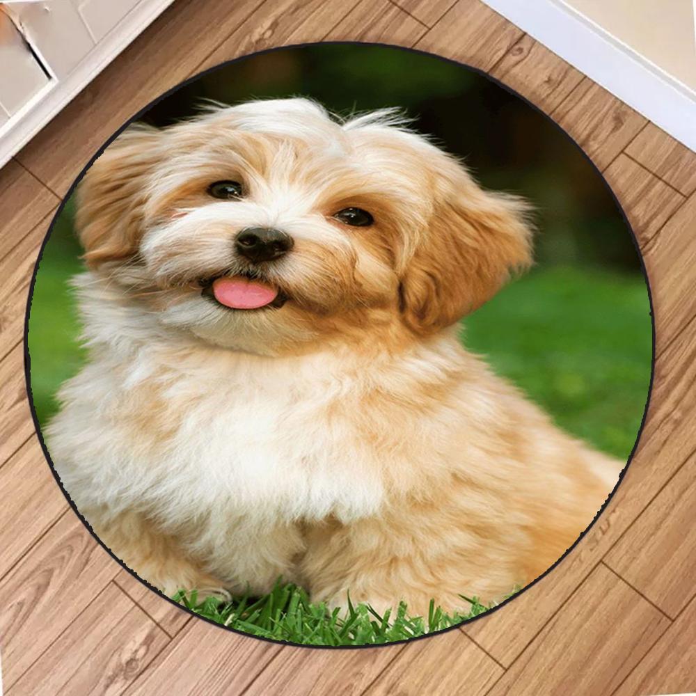 Słodki złoty szczeniak uśmiech okrągła mata salon sypialnia kuchnia balkon dywaniki antypoślizgowe joga dekoracja domu dziewczyna prezenty dywan