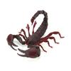 BANDAI The Big Creature full set of 5 types - Encyclopedia Scorpion, (including rare)