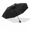 Raven&Sword Fantasy Art Print-Mystical DecorUmbrella with Cute Design,Portable 3-Fold Compact Umbrella for Men&Women,Valentine's Day Mother'
