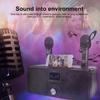 SD-309 3D Portable Household Karaoke System Wireless Bluetooth Dual Microphone Stereo Speaker