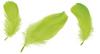 Light Green Feathers 10-12Cm Pack of 50 Pcs