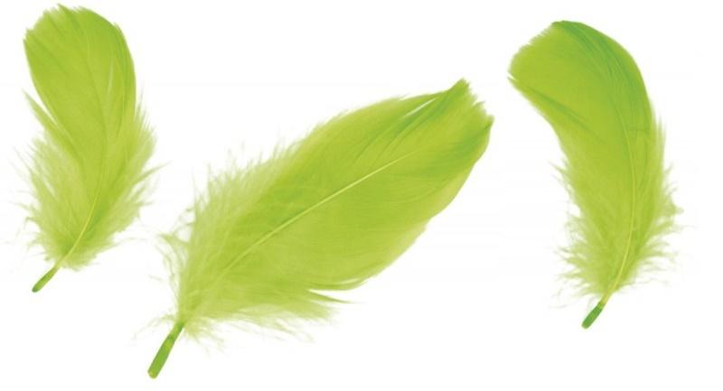 Light Green Feathers 10-12Cm Pack of 50 Pcs