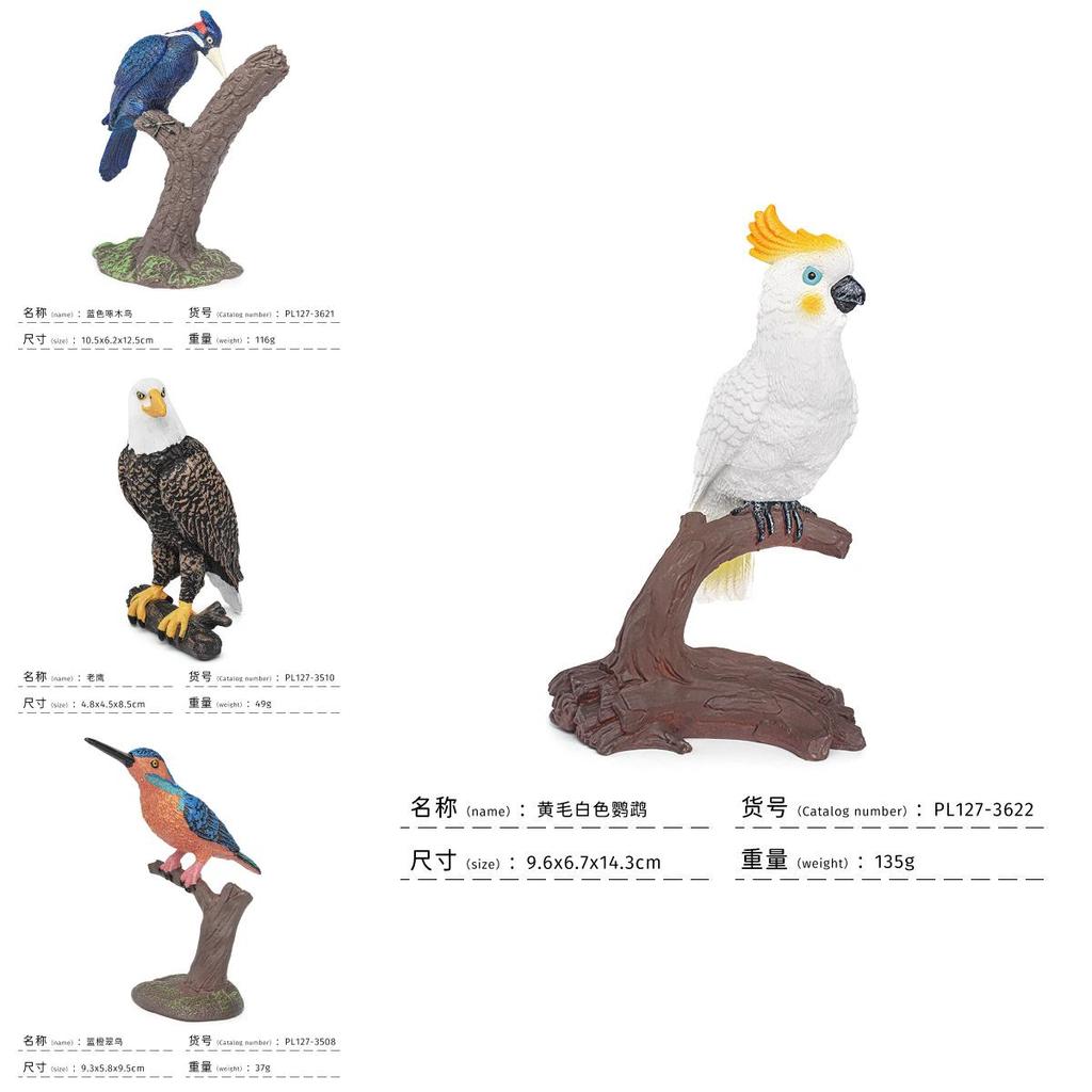 Realistic Bird Model Pvc Owls Eagles Parrots And Woodpeckers For Childrens Educational Decor