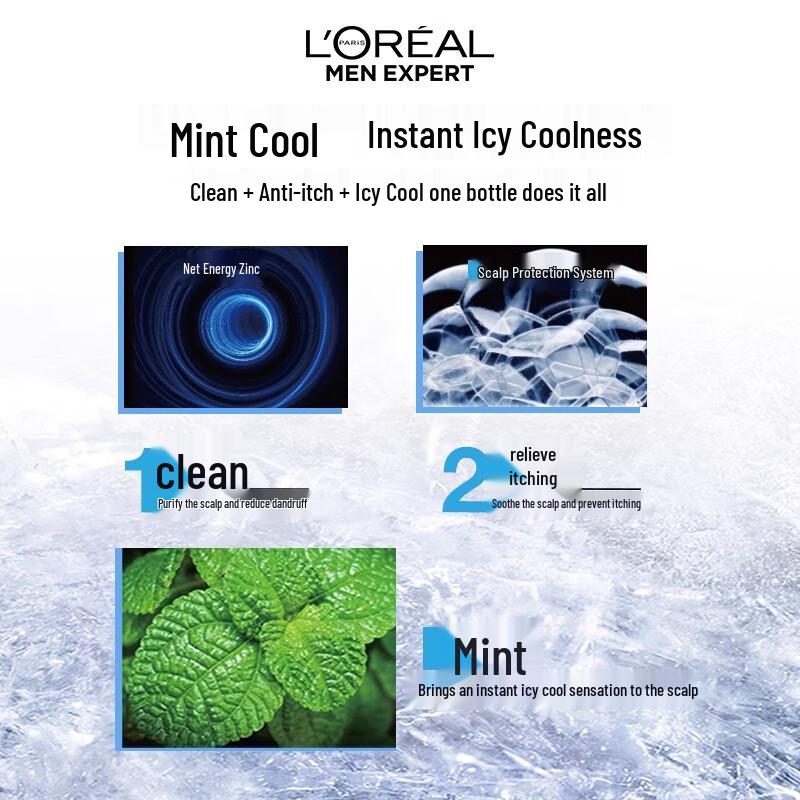 L'Oréal Men's Anti-Dandruff Shampoo