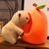 Capybara Fruit Nest Cartoon Plush Toy Girls Gift For Children Bedroom Decor